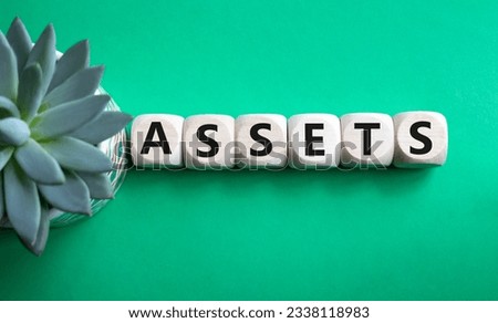 Assets symbol. Concept word Assets on wooden cubes. Beautiful green background with succulent plant. Business and Assets concept. Copy space.