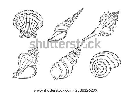 seashell outline illustration. Seashells vector set. Hand drawn illustrations of engraved line. Collection of realistic sketches various mollusk sea shells different forms. isolated white background. Royalty-Free Stock Photo #2338126299