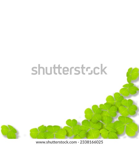 Green wood sorrel leaves against white background forming a beautiful background template design can be used in presentations as powerpoint templates.