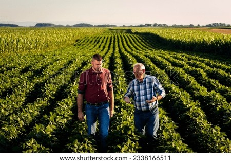 Two farmers walking in a field examining soy crop. Royalty-Free Stock Photo #2338166511