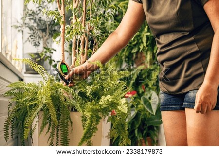 Woman use soil moisture meter to avoid over and under watering. Houseplant care Royalty-Free Stock Photo #2338179873