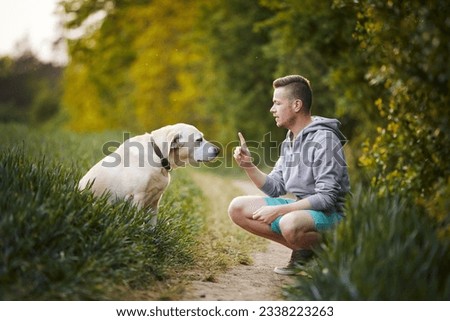 Man face to face teaching his cute dog in nature. Guilty look of labrador retriever during obedience training.
 Royalty-Free Stock Photo #2338223263