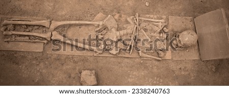 human skeleton and skull found by archeological excavation in Viminacium, Serbia. human skeleton in close-up