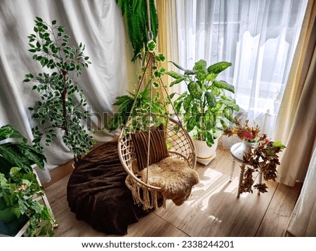 Interior of living room with houseplants, greenery, and a hanging handmade macrame rope swing. Location for a photoshoot. Relaxation area in winter garden