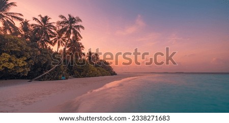 Beautiful panoramic sunset tropical paradise beach. Tranquil summer vacation or holiday landscape. Tropical sunset beach seaside palm calm sea panorama exotic nature view inspirational seascape scenic Royalty-Free Stock Photo #2338271683