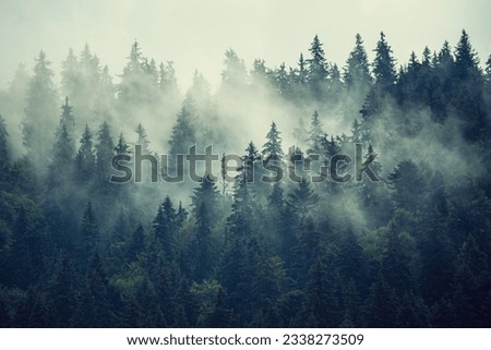 Misty foggy mountain landscape with fir forest and copyspace in vintage retro hipster style Royalty-Free Stock Photo #2338273509