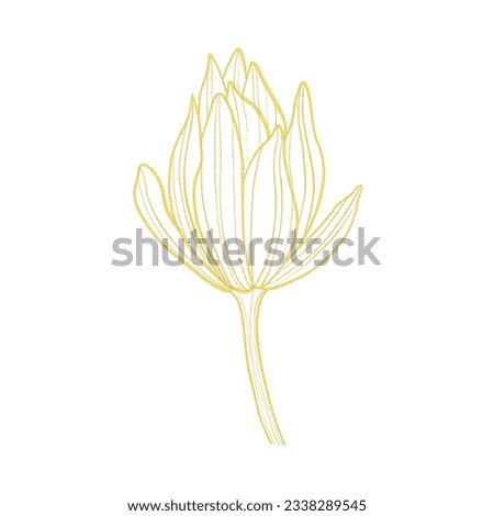 Gold outline clipart with lotus flower