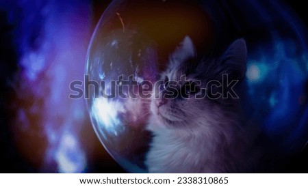 Concept: space expedition. Portrait of a cat astronaut in space orbiting the planet                                Royalty-Free Stock Photo #2338310865