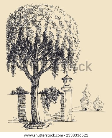 Park entrance hand drawing, willow tree landscape