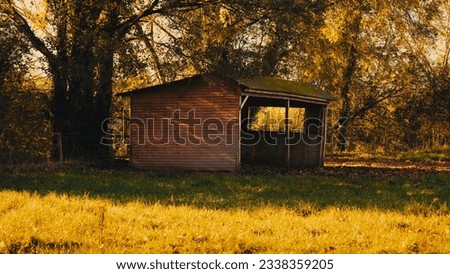 Old wooden shelter in bright orange countryside field with sunset lighting the grass  Royalty-Free Stock Photo #2338359205