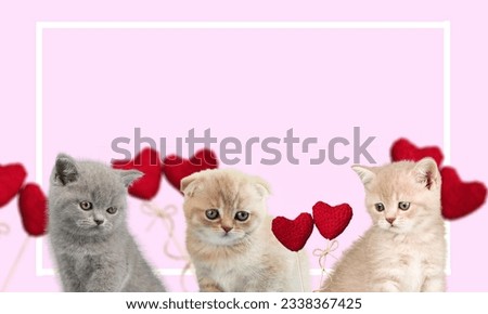 A happy smiling cute cat with red hearts