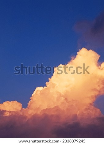 Sky blue photography . Beautiful pictures of sky blooming 