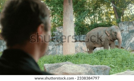 Wild Elephant Encounter. Male tourist on safari observes majestic mammal in Thai national park. Adventure in tropical wilderness with Asian wildlife. Royalty-Free Stock Photo #2338384797