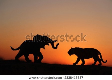 Photo of a tiger attacking an elephant
