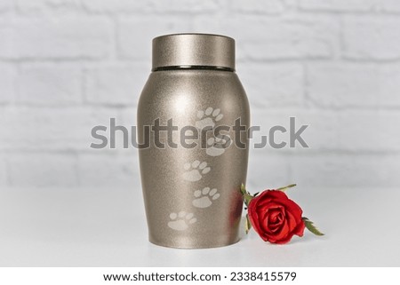  In remembrance of a pet. Cremation urn for pets beside a red rose.
