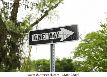 one-way sign on a city street, symbolizing direction, restriction, and adherence to a predefined path in life. Decisions and choices