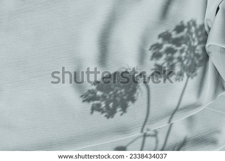 Aesthetic minimalist neutral background with sunlight shadows on light blue textile, meadow flower silhouette, copy space