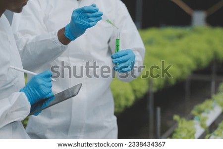 Asian woman farmer using digital tablet in vegetable garden at greenhouse, Business agriculture technology concept, quality smart farmer. Royalty-Free Stock Photo #2338434367