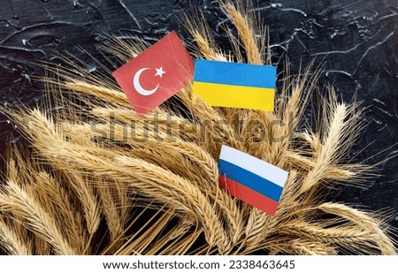 Ukrainian  grain wheat, Turkey and Russia flags background. Grain deal and problem of blockade of ports, grain corridor, Ukraine Russia conflict. Royalty-Free Stock Photo #2338463645
