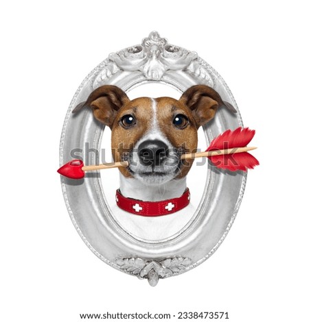 valentines jack russell dog in love holding a cupids arrow with mouth in a retro wood frame isolated on white background