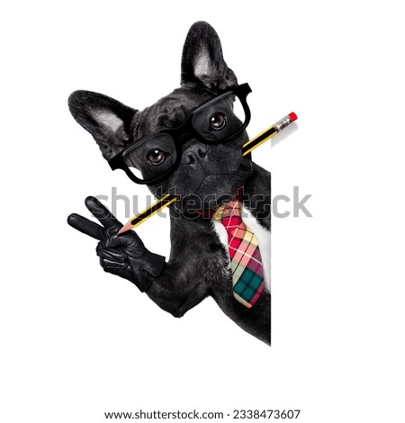 office businessman french bulldog dog with pen or pencil in mouth behind a blank white banner or placard, isolated on white background