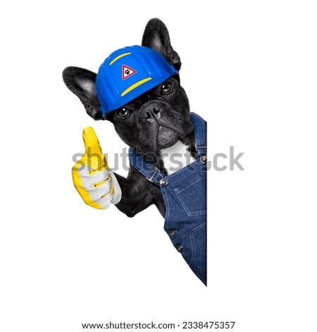 handyman dog worker with helmet and thumb up , ok and agree, ready to repair, fix everything at home, isolated on white background