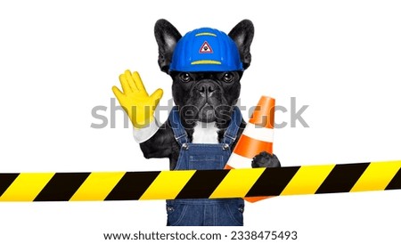 worker dog with helmet behind warning tape ,work in progress, and stop gesture, , isolated on white background