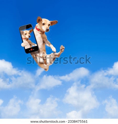 chihuahua dog flying and jumping in the air , blue sky as backdrop, funny and crazy face, taking a selfie with smartphone