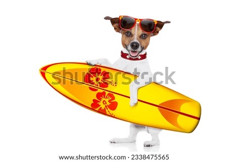 silly funny cool surfer dog holding fancy surf board , isolated on white background
