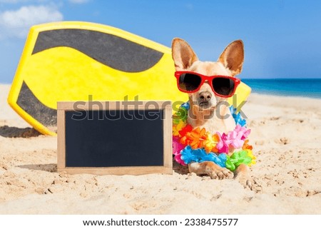 chihuahua dog at the beach with a surfboard wearing sunglasses and flower chain on summer vacation holidays at the beach , with empty blank blackboard or banner