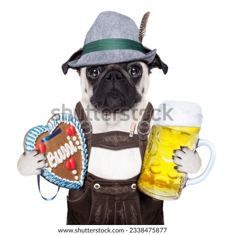 pug dog dressed up as bavarian with gingerbread as collar, isolated on white background, holding a beer mug and a ginger bread heart