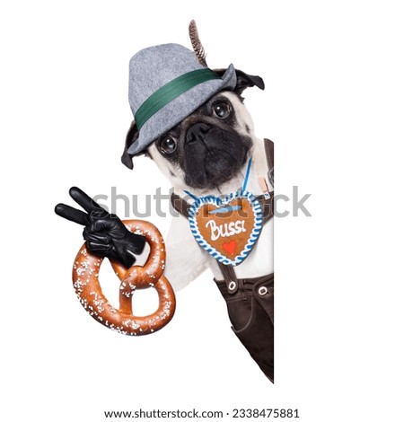 pug dog dressed up as bavarian,isolated on white background, behind a blank empty banner or placard holding a pretzel
