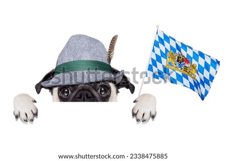 pug dog dressed up as bavarian,isolated on white background, behind a blank empty banner or placard