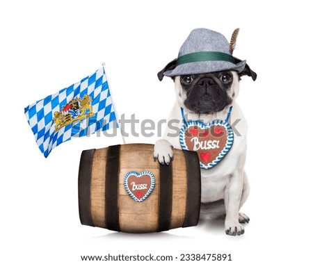 bavarian german pug dog behind beer barrel and bavarian flags, isolated on white background