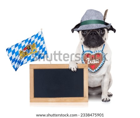 pug dog dressed up as bavarian with gingerbread as collar, isolated on white background, holding a blank empty blackboard or banner with a bavaria flag