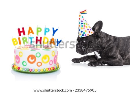 french bulldog dog hungry for a happy birthday cake with candles ,wearing party hat , isolated on white background