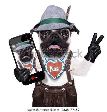 silly crazy pug dog dressed up as bavarian with gingerbread as collar, isolated on white background, and victory or peace fingers, surprised or shocked, taking a selfie with smartphone telephone
