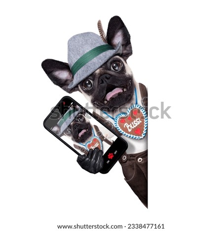silly crazy pug dog dressed up as bavarian with gingerbread as collar, isolated on white background, surprised or shocked, taking a selfie with smartphone telephone