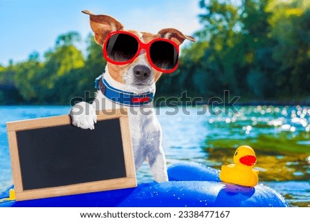 jack russell dog sitting on an inflatable mattress in water by the sea, river or lake in summer holiday vacation , holding an empty banner or placard