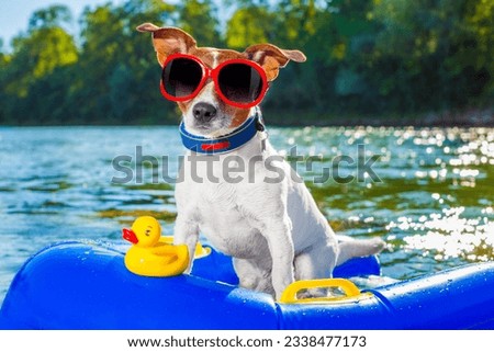 jack russell dog sitting on an inflatable mattress in water by the sea, river or lake in summer holiday vacation , rubber plastic toy included
