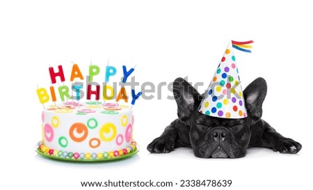 french bulldog with happy birthday cake and candles ,a party hat ,eyes closed , isolated on white background