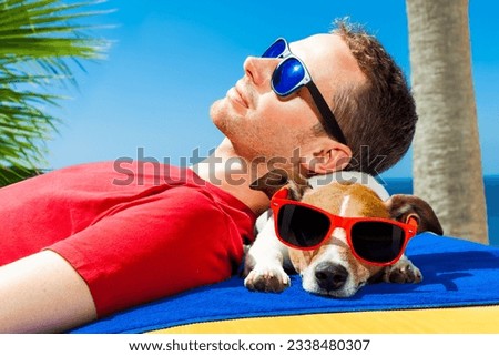 jack russell dog and owner sunbathing a having a siesta under a palm tree , on summer vacation holidays at the beach