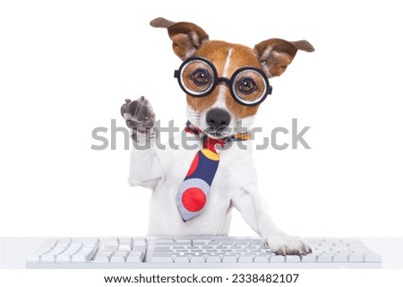 jack russell dog booking a reservation online using a pc computer laptop keyboard ,with high five paw ,isolated on white background