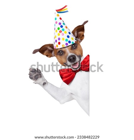 jack russell dog as a surprise, behind white and blank banner or placard ,wearing red tie and party hat , isolated on white background
