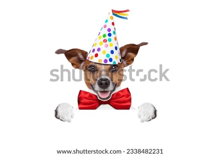 jack russell dog as a surprise, behind white and blank banner or placard ,wearing red tie and party hat , isolated on white background