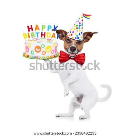 jack russell dog holding a happy birthday cake with candels , red tie and party hat on , isolated on white background