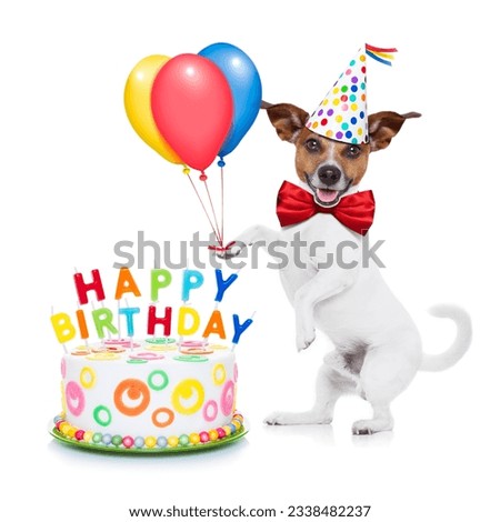 jack russell dog as a surprise with happy birthday cake ,wearing red tie and party hat ,holding balloons , isolated on white background