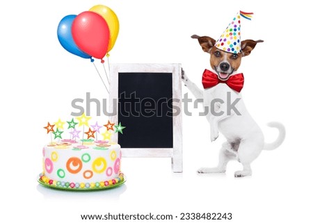 jack russell dog holding a empty blank blackboard or placard, red tie and party hat on , isolated on white background