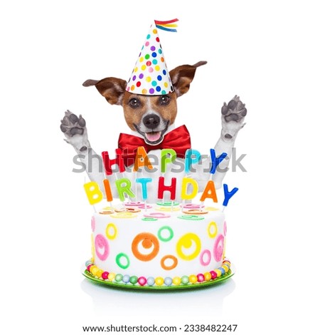 jack russell dog as a surprise behind happy birthday cake with candles ,wearing red tie and party hat , isolated on white background