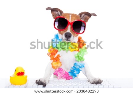 jack russell dog booking summer vacation holidays online using a pc computer keyboard, wearing sunglasses and a flower chain , isolated on white background